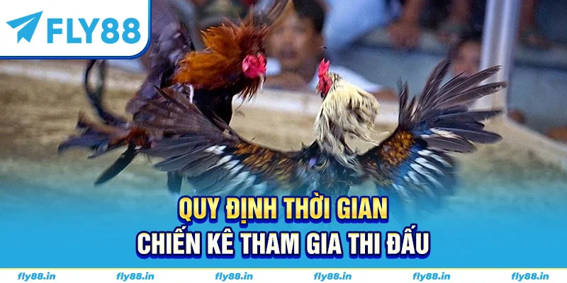 Quy định thời gian chiến kê tham gia thi đấu